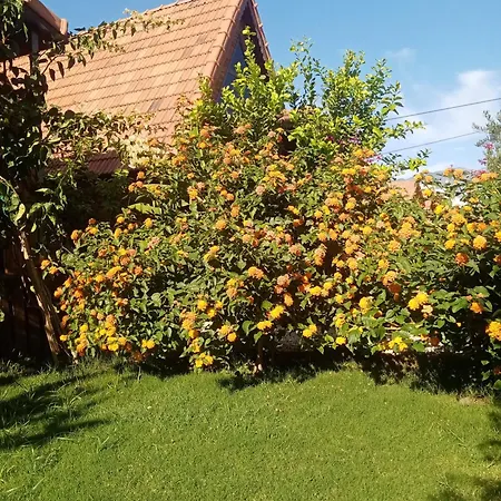 Riviera Evleri 2 בית נופש דמרה