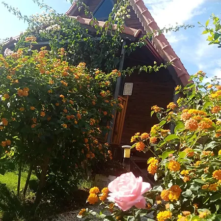 Holiday home Riviera Evleri 2