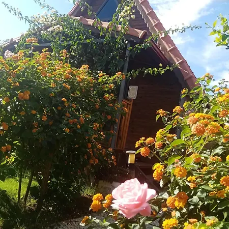 בית נופש Riviera Evleri 2