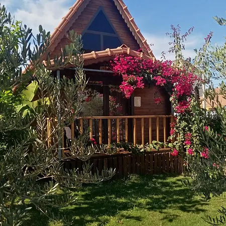 Holiday home Riviera Evleri 2 *